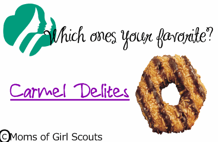 Girl Scout Cookies Pictures, Images and Photos