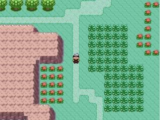 [PokeCommunity.com] Pokemon-The Legend of the Scorched Charizad