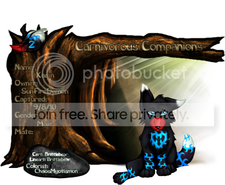 User Image
