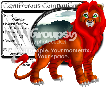 User Image