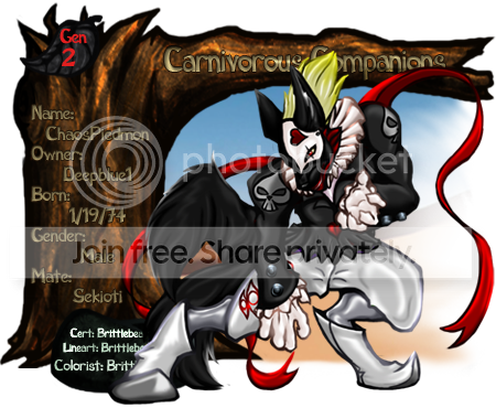 User Image