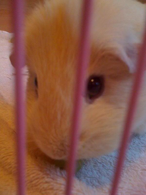 IPhonePics019.jpg
