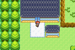 [PokeCommunity.com] Pokemon Deep Forest