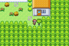 [PokeCommunity.com] Pokemon Deep Forest