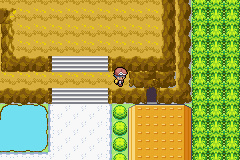 [PokeCommunity.com] Pokemon Deep Forest
