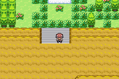 [PokeCommunity.com] Pokemon Deep Forest