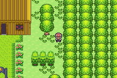 [PokeCommunity.com] Pokemon Deep Forest