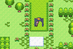 [PokeCommunity.com] Pokemon Deep Forest