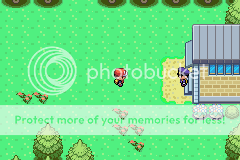 [PokeCommunity.com] *Pokemon Foggy Crystal Version*