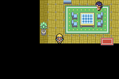 Pokemon Platinum Silver