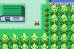 [PokeCommunity.com] Pokemon Platinum Silver