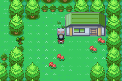 Pokemon Platinum Silver