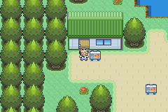 [PokeCommunity.com] Pokemon Ranger: Topaz/Garnet
