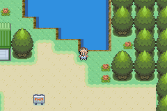 [PokeCommunity.com] Pokemon Ranger: Topaz/Garnet