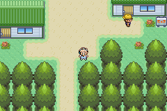 [PokeCommunity.com] Pokemon Ranger: Topaz/Garnet