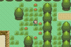 [PokeCommunity.com] Pokemon Ranger: Topaz/Garnet