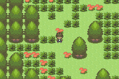 PokEmon Natural Land: Surzen