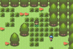 PokEmon Natural Land: Surzen