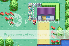 [PokeCommunity.com] *Pokemon Foggy Crystal Version*