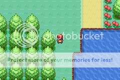 *Pokemon Foggy Crystal Version*