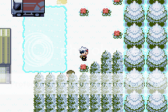 Pokemon SnowY GoD