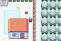 Pokemon SnowY GoD