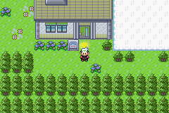 [PokeCommunity.com] Pokemon Tanzanit