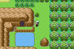 [PokeCommunity.com] Pokemon Tanzanit