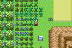 [PokeCommunity.com] Pokemon Tanzanit