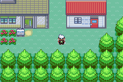 [PokeCommunity.com] Pokemon Wild World