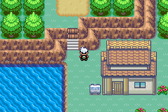 Pokemon Wild World