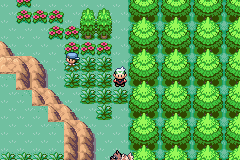 [PokeCommunity.com] Pokemon Wild World