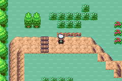 Pokemon Wild World