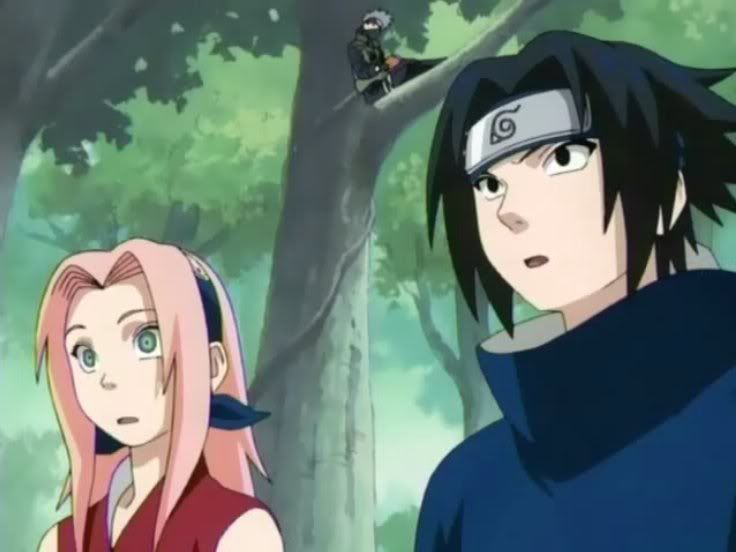 [PokeCommunity.com] The Sasuke & Naruto Fanclub