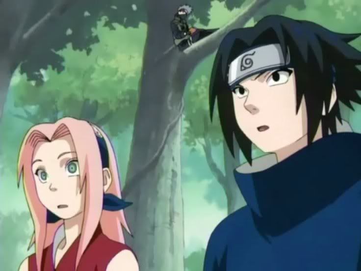 The Sasuke & Naruto Fanclub