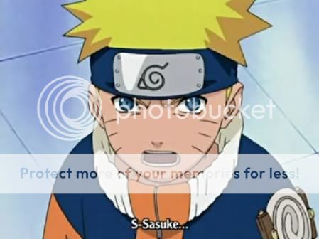 The Sasuke & Naruto Fanclub