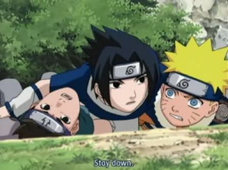 [PokeCommunity.com] The Sasuke & Naruto Fanclub
