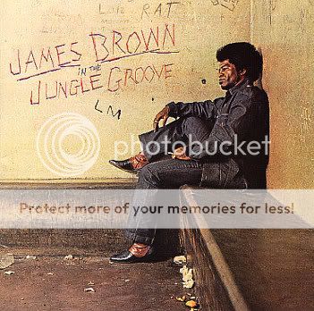 James_Brown-In_The_Jungle_Groove_b.jpg