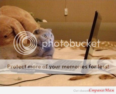jokes photo: 1 1_4281791_65409nothumb500_zpsbf79f21b.jpg