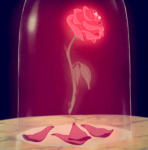 beauty and the beast rose photo:  tumblr_mckguexIrs1rt5qfro1_500.gif