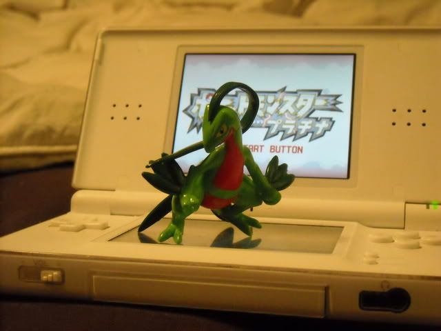 [PokeCommunity.com] Welcome, fellow lizard lovers!