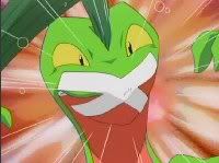 [PokeCommunity.com] Welcome, fellow lizard lovers!