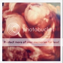 photo b0151dd0-82a5-4169-8597-551469ef12e4.jpg